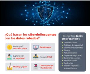 ciberdelincuentes